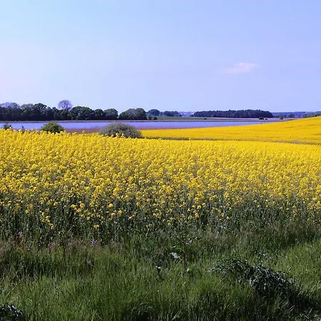 Lejlighed Haus _am Peene_ufer_ Fewo Moewenne *